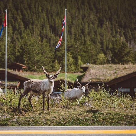 Saltdal Turistsenter Villa Storjord Kültér fotó