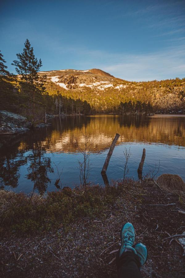 Saltdal Turistsenter Villa Storjord Kültér fotó